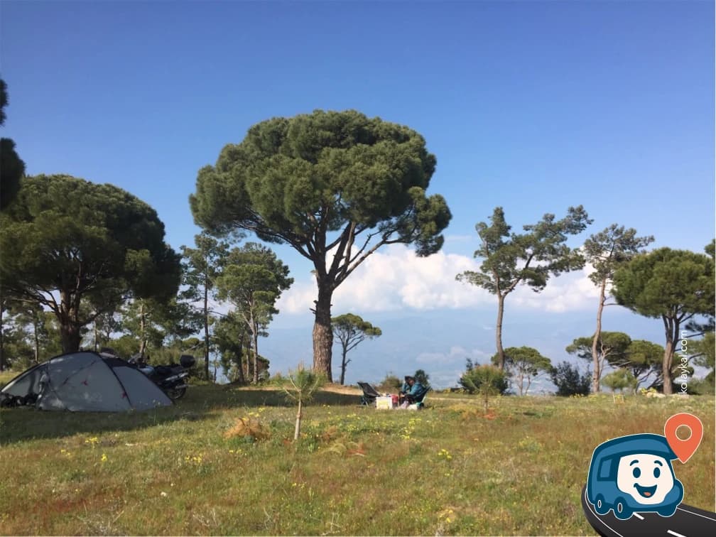 Çam Ormanında Kamp Alanı - Bozdoğan, Aydın, foto 1