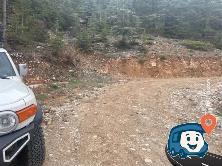 Ağaçların Altındaki Vahşi Kamp Alanı - Develi, Kayseri, foto 3