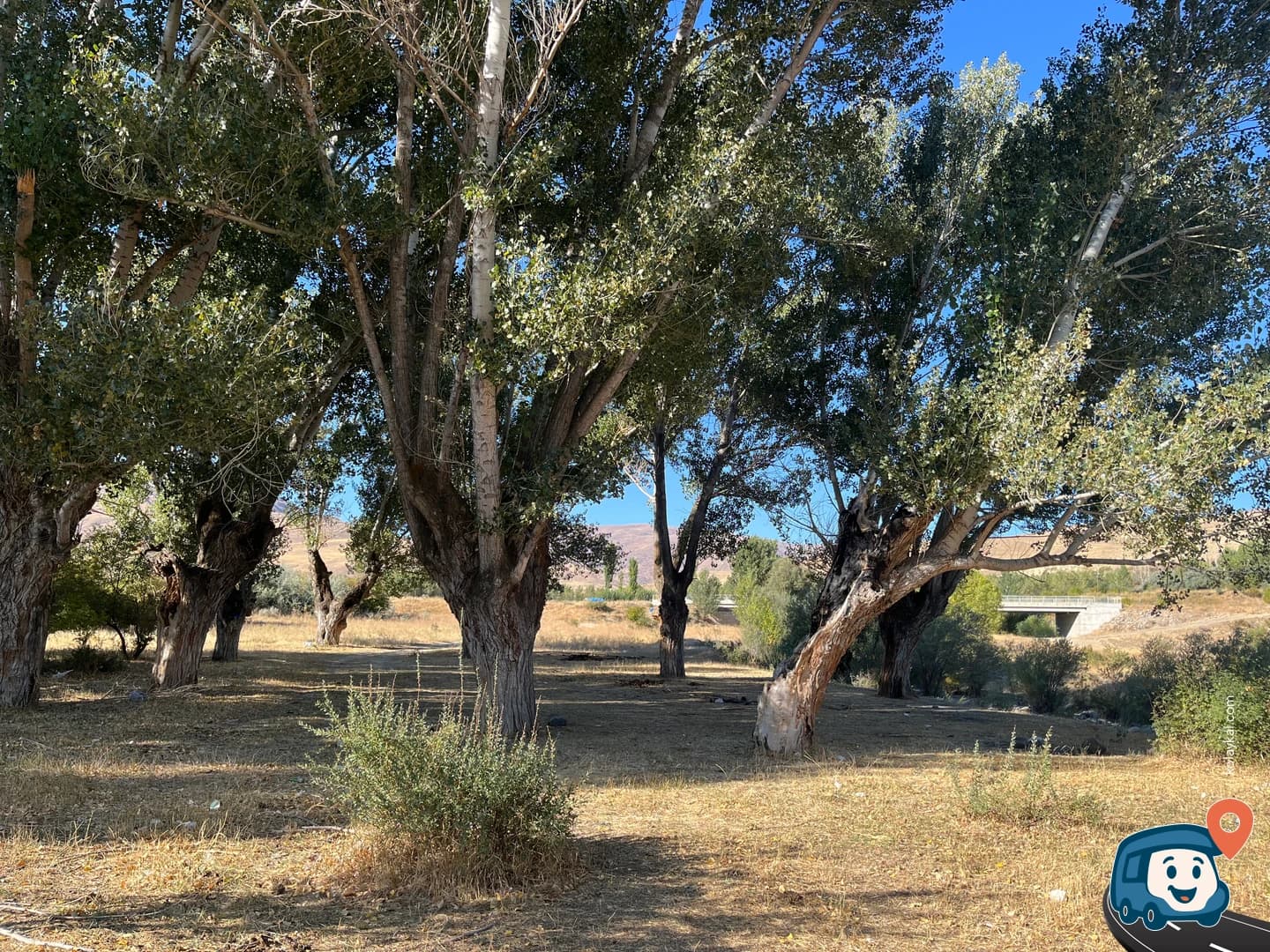 Nehir Kenarı Vahşi Kamp Alanı - Divriği, Sivas, foto 4