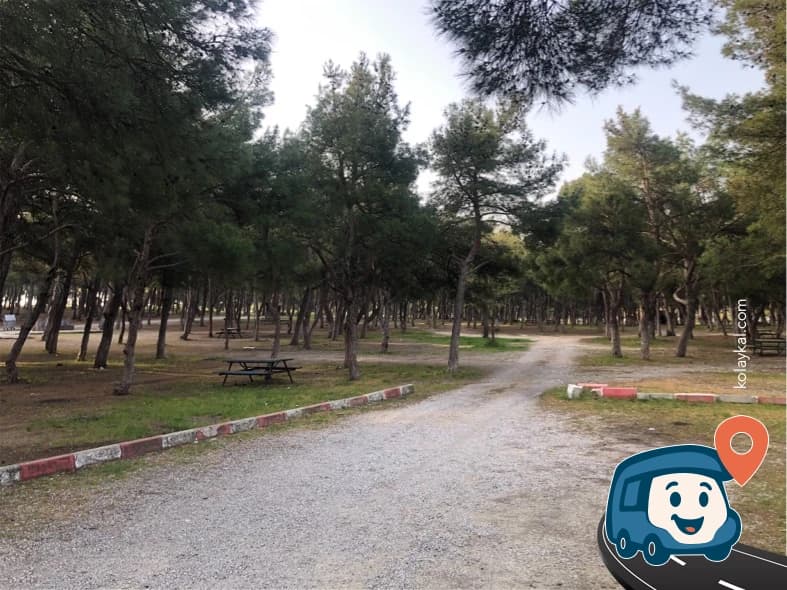 Sarnıç Piknik Alanı - Gaziemir, İzmir, foto 11