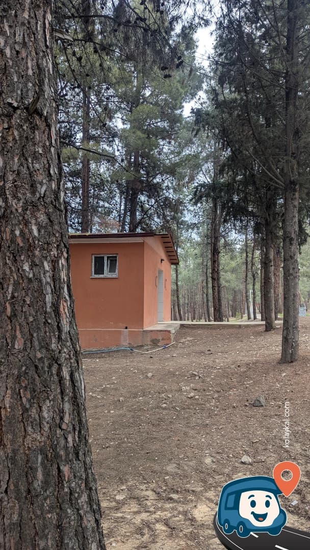 Burdur Gölü Ormanı - Burdur Merkez, foto 2