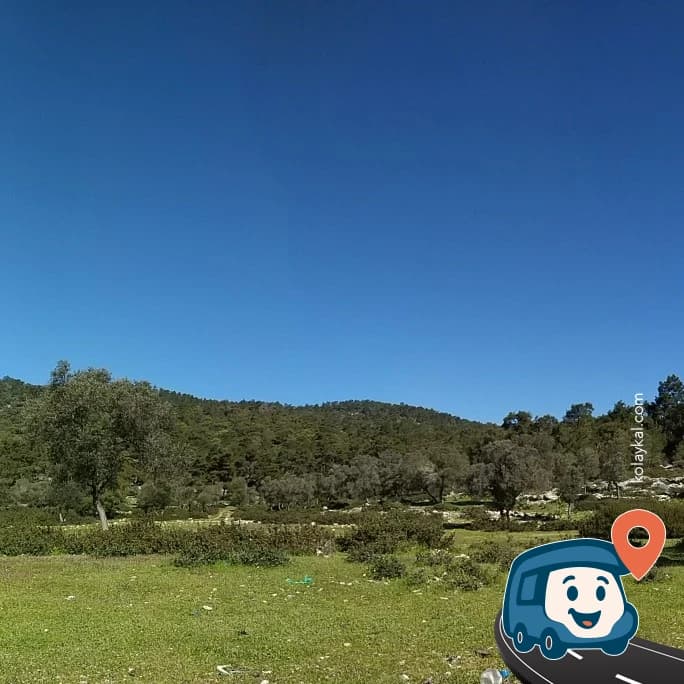 Plaj Kampı - Milas, Muğla, foto 8