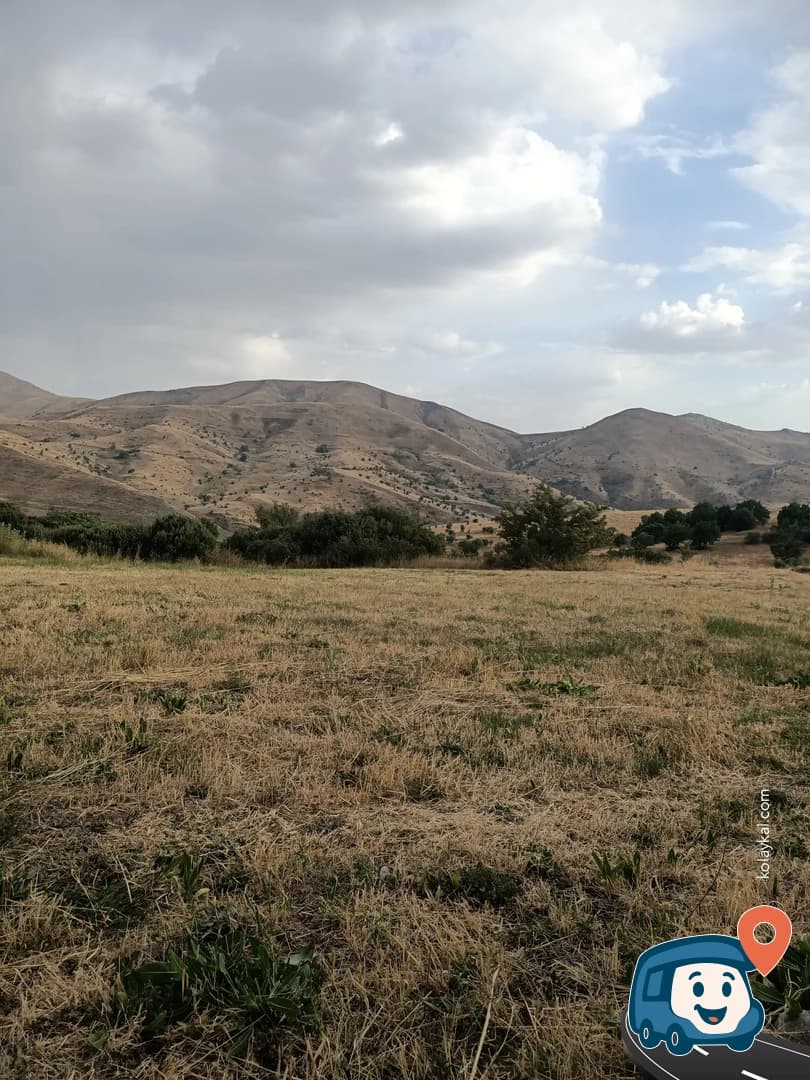 Tarlada Vahşi Kamp - Aşkale, Erzurum, foto 1