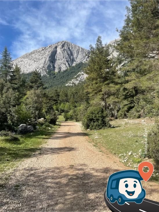 Kaplumbağaların Arasında - Kemer, Antalya, foto 2
