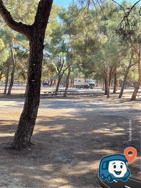 Sarnıç Piknik Alanı - Gaziemir, İzmir, foto 4
