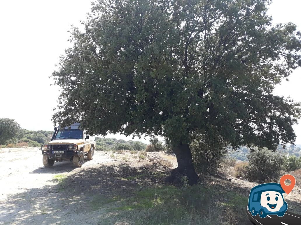 Gerga Vahşi Kamp Alanı - Çine, Aydın, foto 3