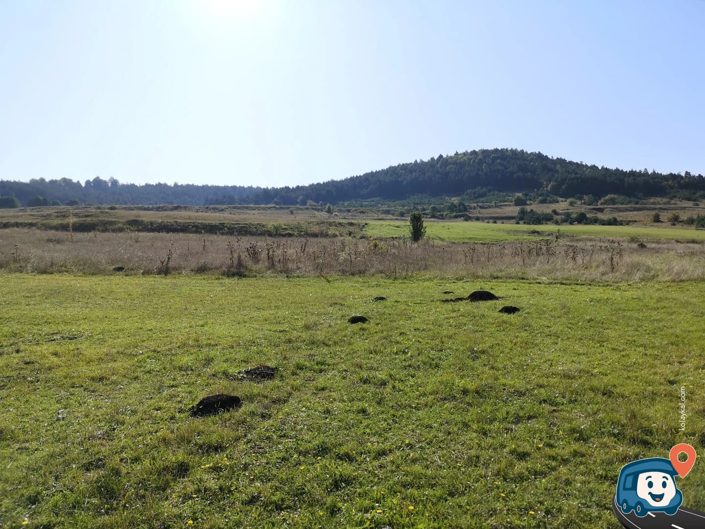 Dağ Yaylası - Akkuş, Ordu, foto 3