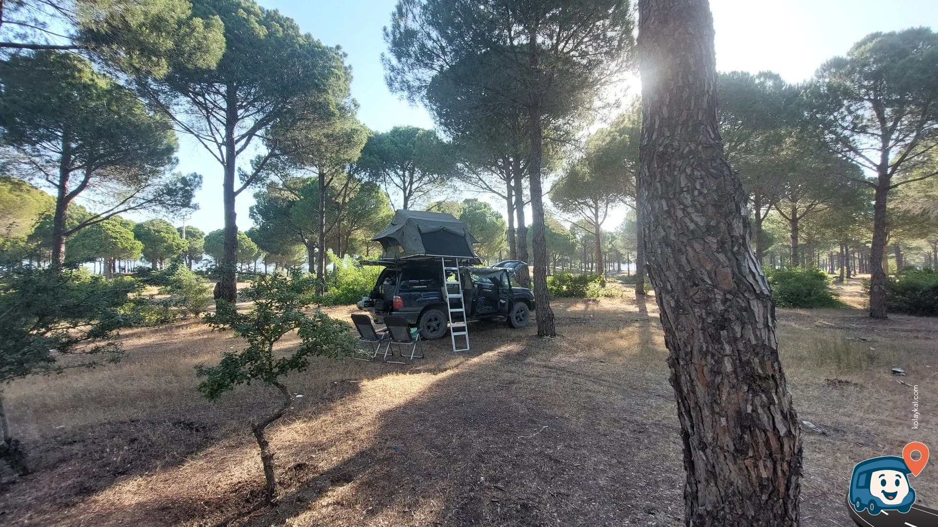 Plaj Yakınındaki Orman - Manavgat, Antalya, foto 3