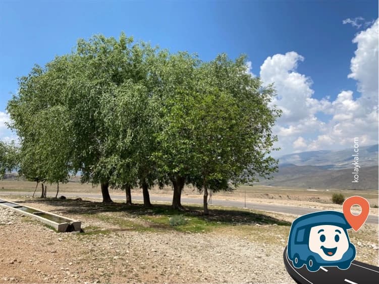 Emli Vadisi Girişi Kamp Alanı - Çamardı, Niğde, foto 1