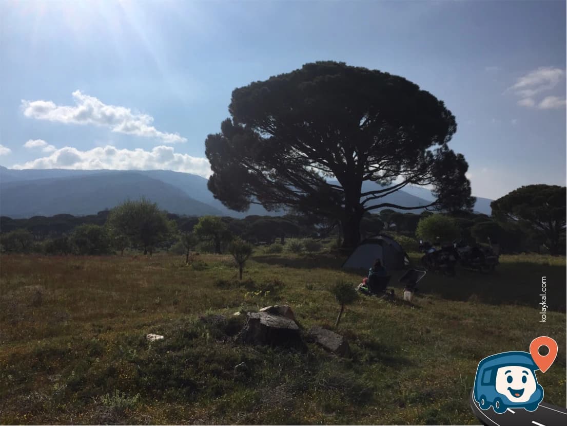 Çam Ormanında Kamp Alanı - Bozdoğan, Aydın, foto 2