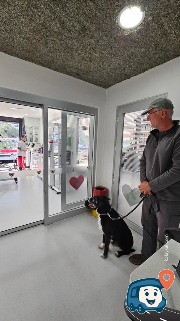 Atakum Life Veteriner Kliniği - Samsun, foto 1