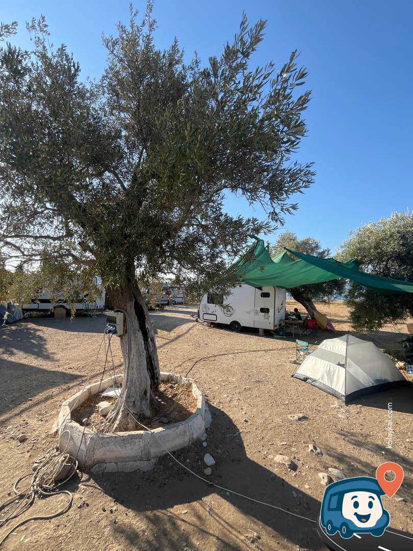 Salyangozyasam Kamp Alanı - Milas, Muğla, foto 2