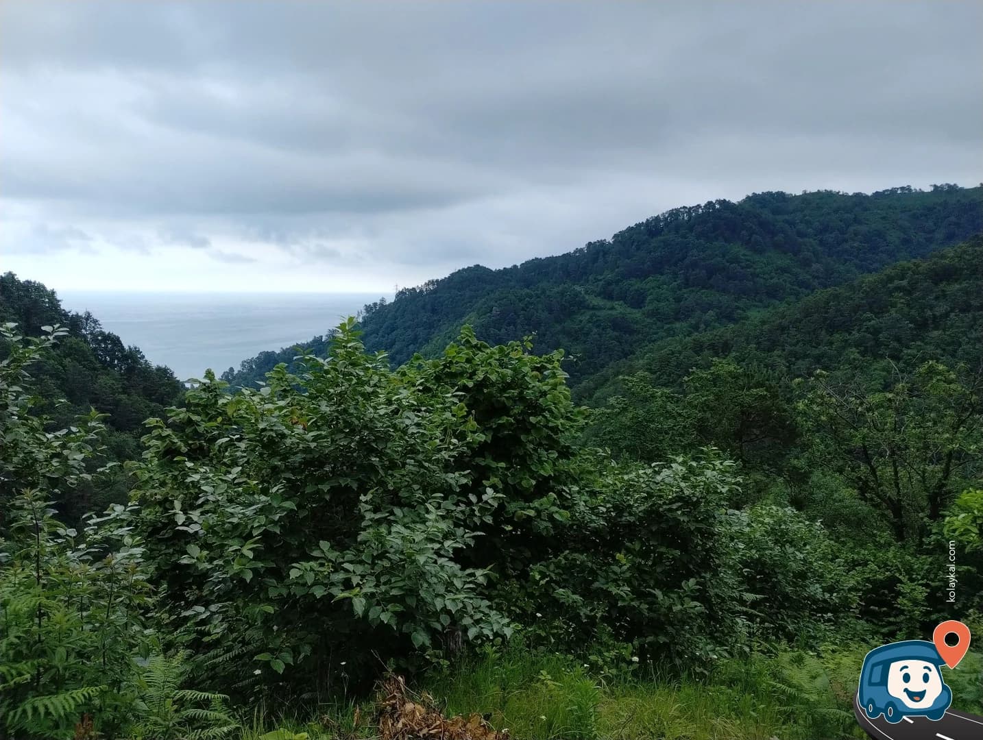 Toprak Yol Üzerinde Virajdaki Açıklık - Of, Trabzon, foto 5