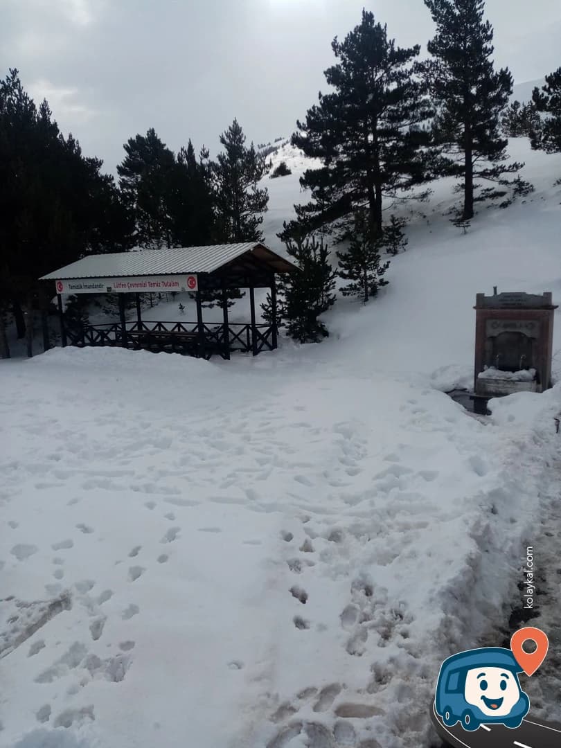 Piknik Alanı - Refahiye, Erzincan, foto 3