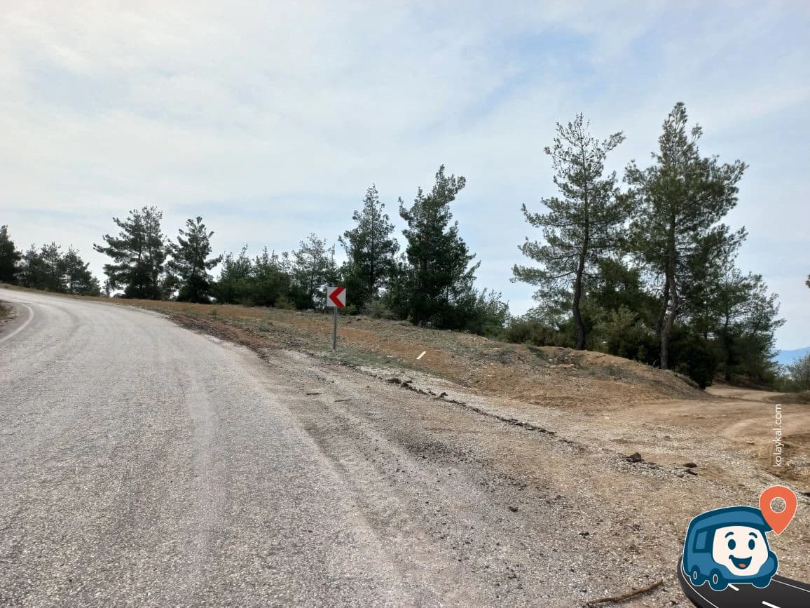 Pamukkale Wood - Denizli, foto 6