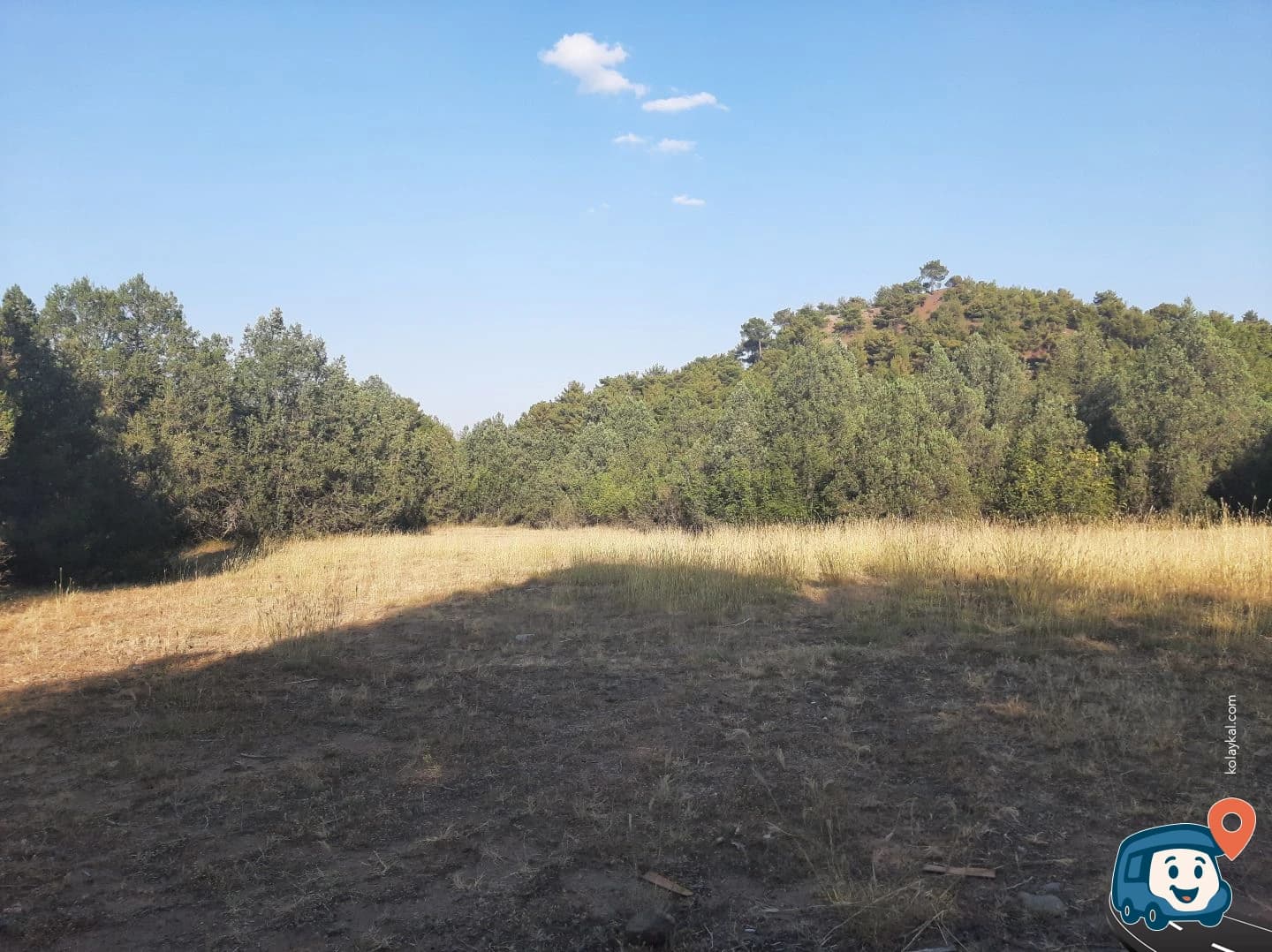 Gürültüsüz Vahşi Kamp Alanı - Osmancık, Çorum, foto 1