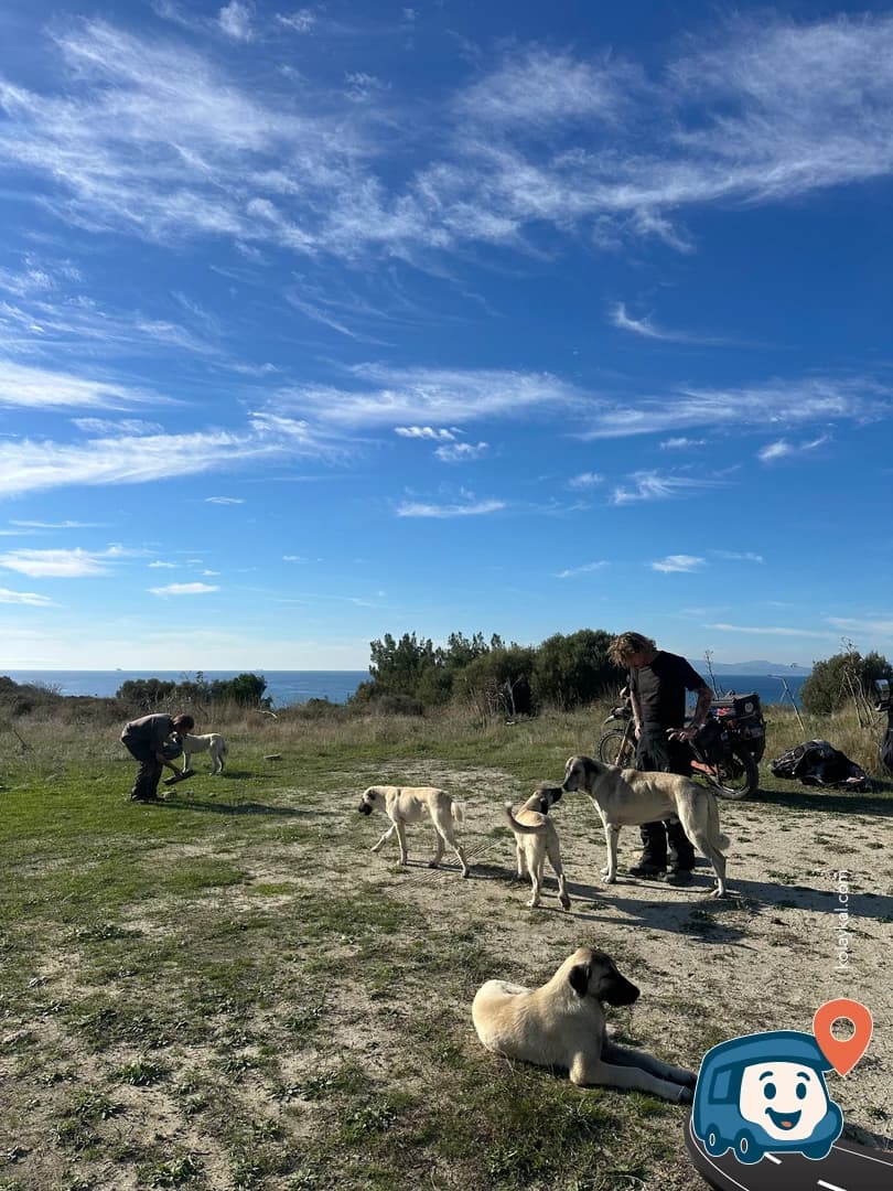 Orhaniye Tabyası - Çanakkale Merkez, Çanakkale, foto 2