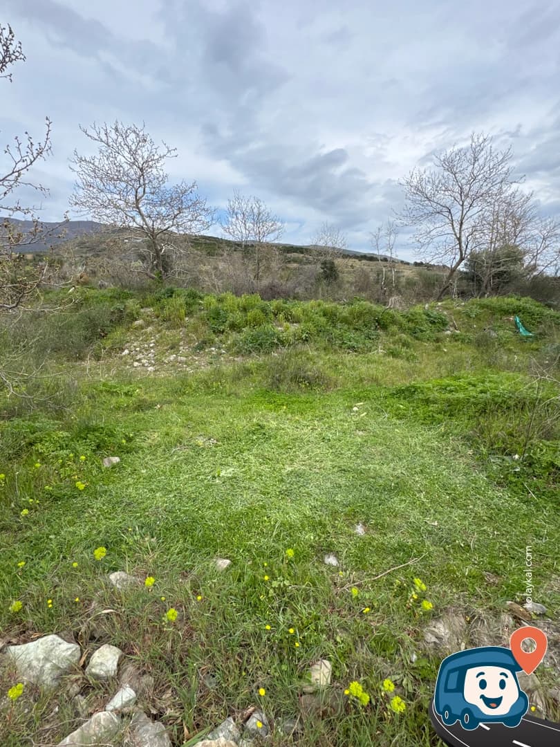 Gaziköy - Şarköy, Tekirdağ, foto 2