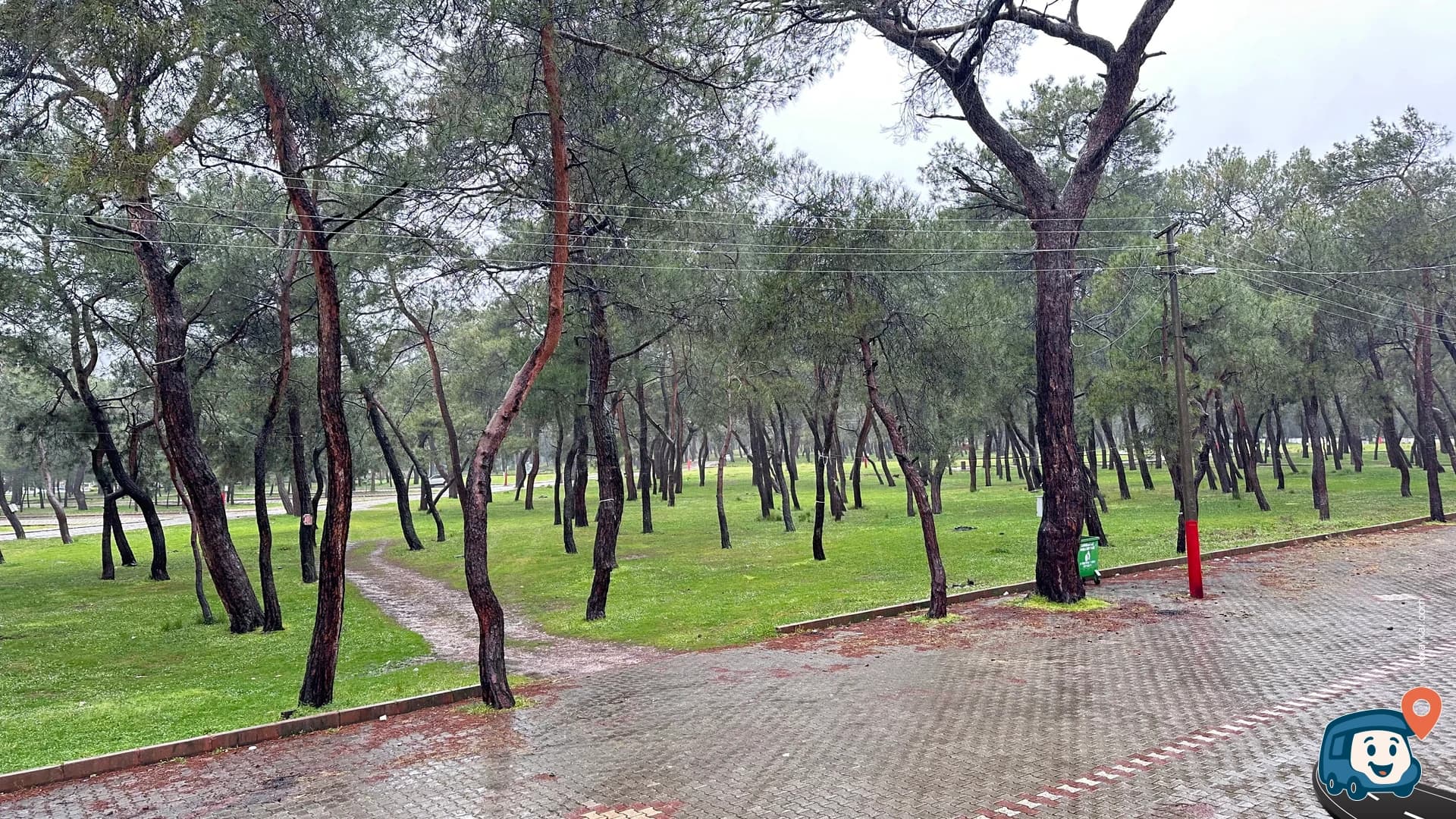 Övecli Kamp Alanı - Kırkağaç, Manisa, foto 1