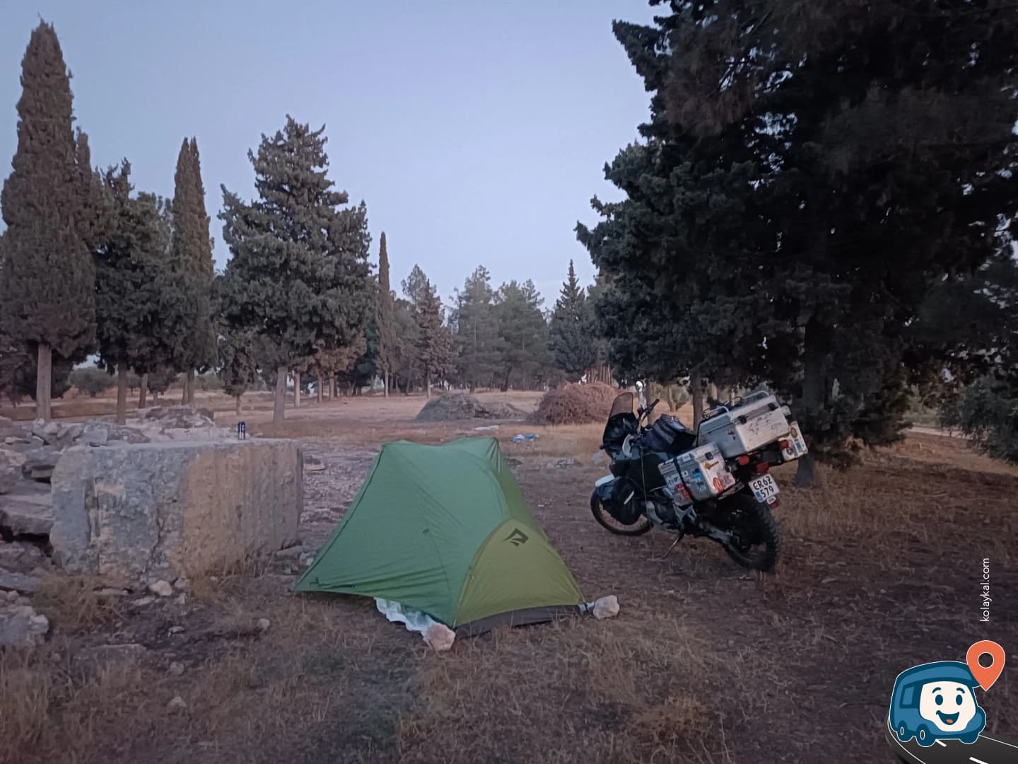 Yol Üzerindeki Ağaçlar - Nizip, Gaziantep, foto 1