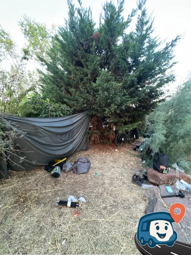 Kent Ormanı İç Yolları - Balçova, İzmir, foto 1