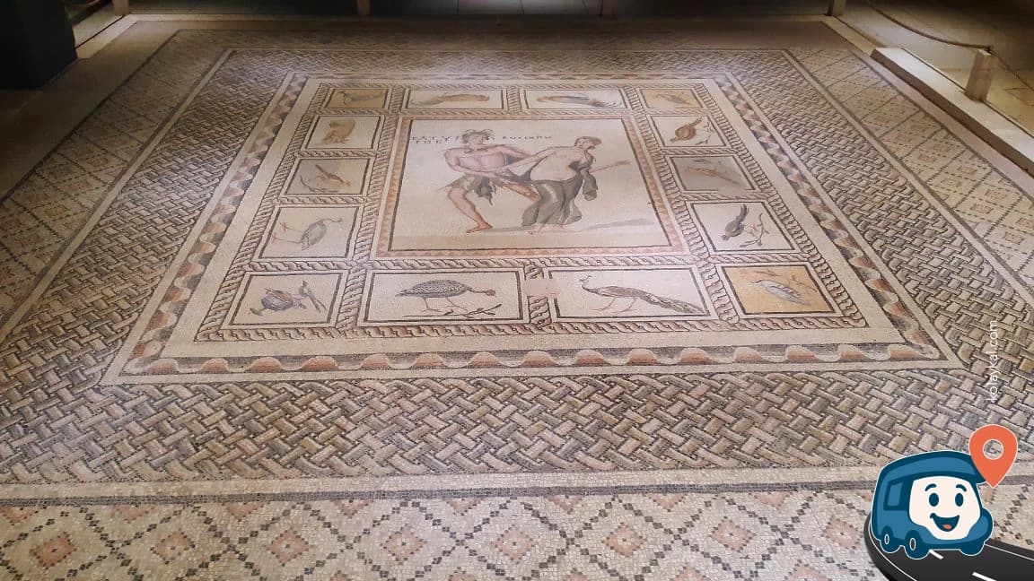 Zeugma Mozaik Müzesi - Şehitkamil, Gaziantep, foto 1