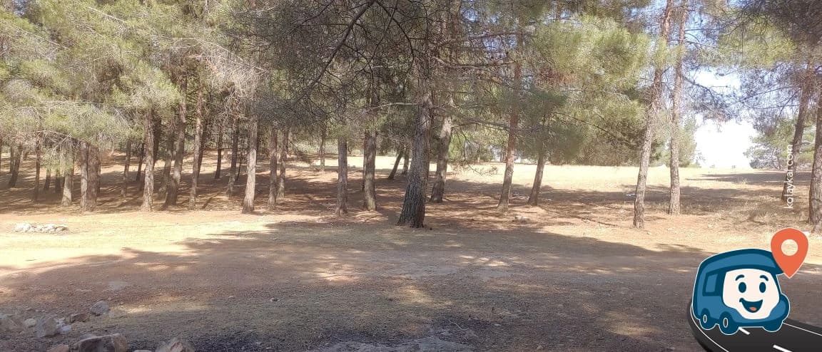 Gullubag Mahallesi Vahşi Kamp Alanı - Karaköprü, Şanlıurfa, foto 2