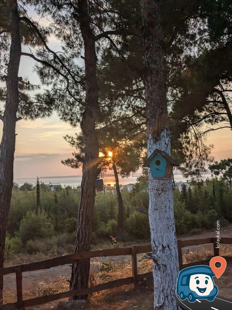 Park Çamlık - Çanakkale Merkez, Çanakkale, foto 1