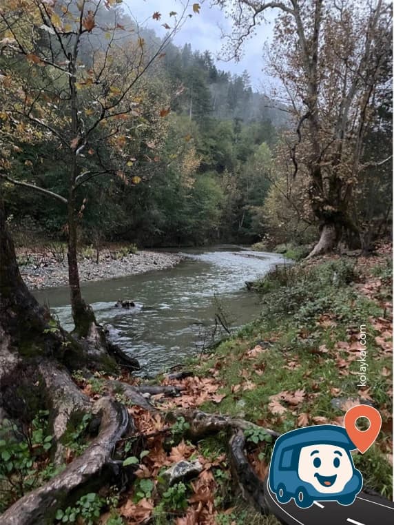 Nehir Kenarı Vahşi Kamp Alanı - Devrek, Zonguldak, foto 5