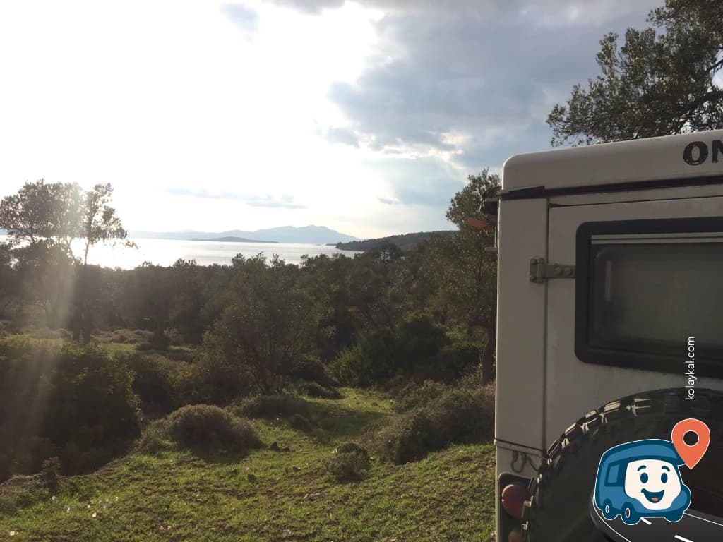 Zeytin Ağaçları Arasında Mera - Ayvalık, Balıkesir, foto 4