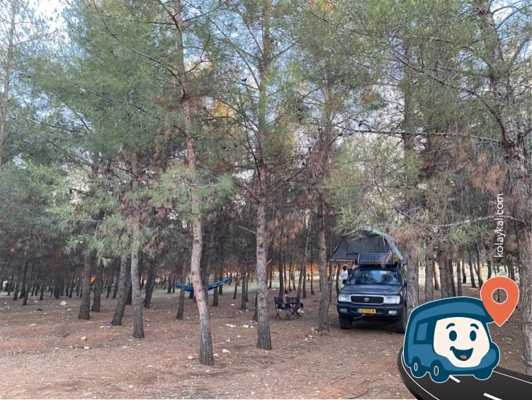 Pine Grove Vahşi Kamp Alanı - Haliliye, Şanlıurfa, foto 10