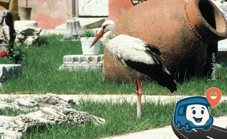 İznik Müzesi - İzni̇k, Bursa, foto 3