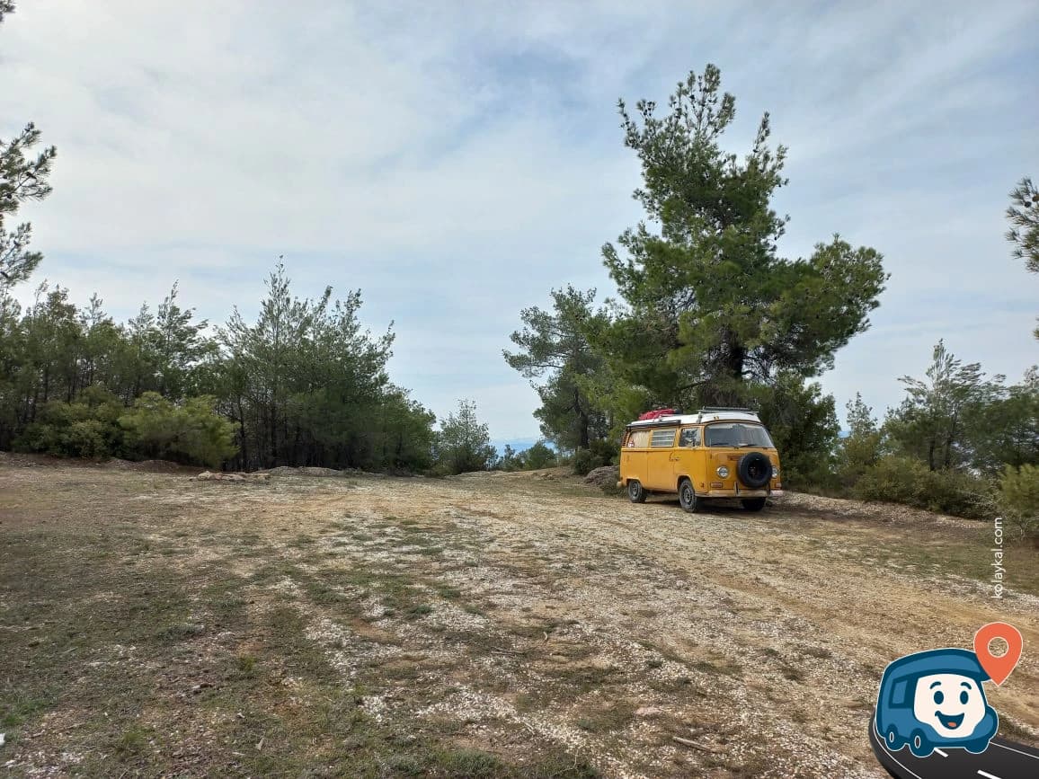 Pamukkale Wood - Denizli, foto 2