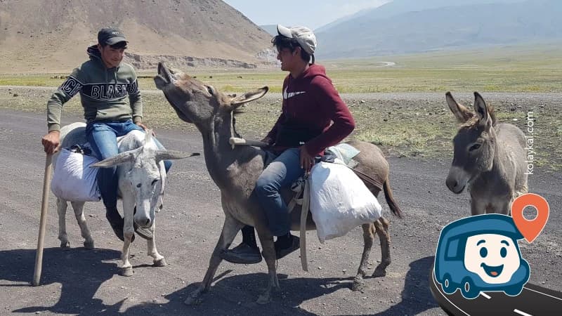 Ağrı Dağı Önünde Leylek Tarlası Vahşi Kamp Alanı - Doğubayazıt, foto 1