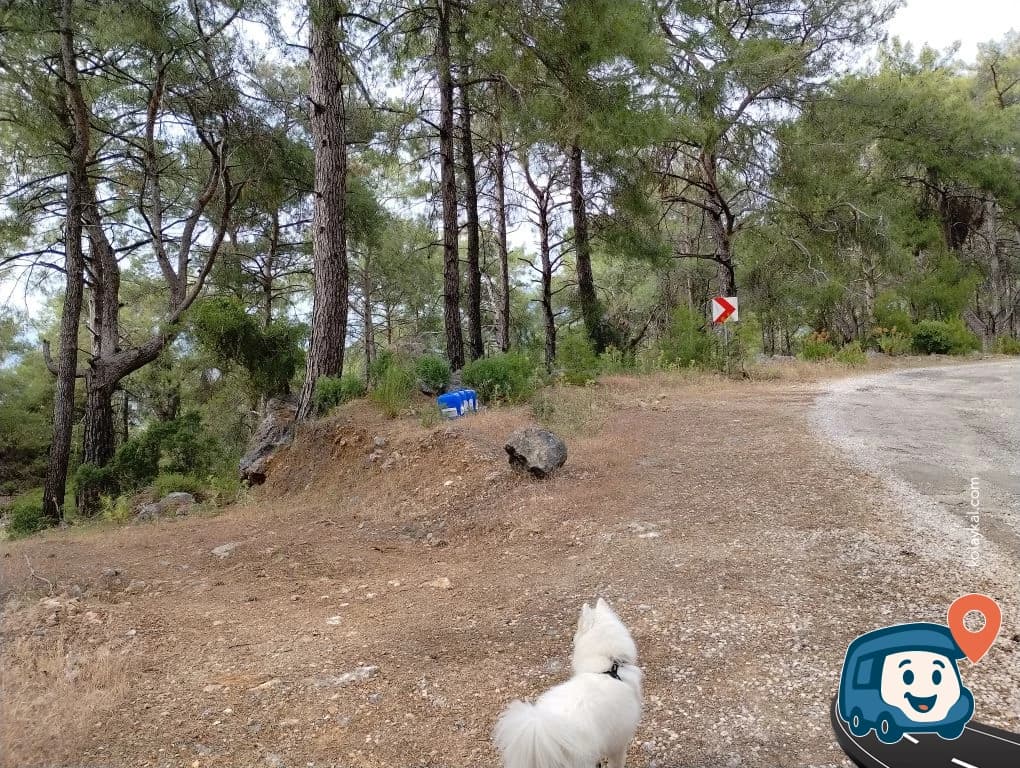 İztuzu Yakını Orman Açıklığı Kamp Alanı - Ortaca, Muğla, foto 1
