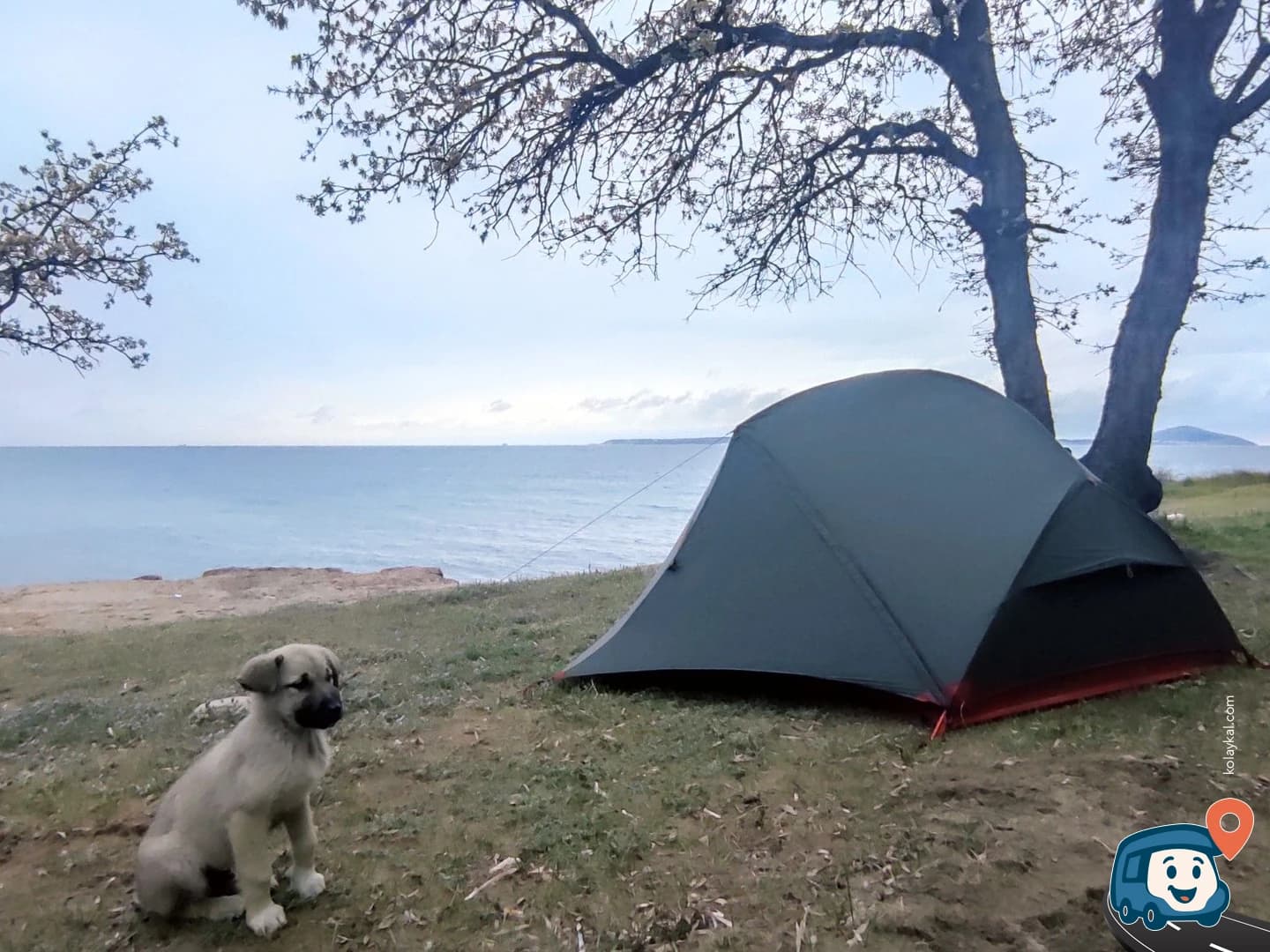 Geyikli Sahili Ücretsiz Kamp ve Karavan Alanı - Ezine, Çanakkale, foto 4