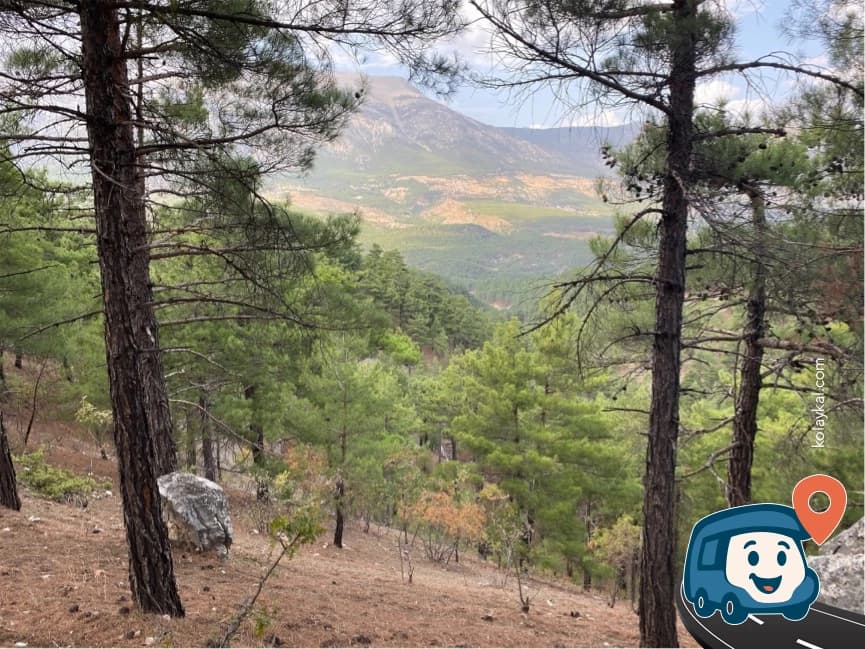 Uçurum Kenarı Vahşi Kamp Alanı - Pozantı, Adana, foto 2