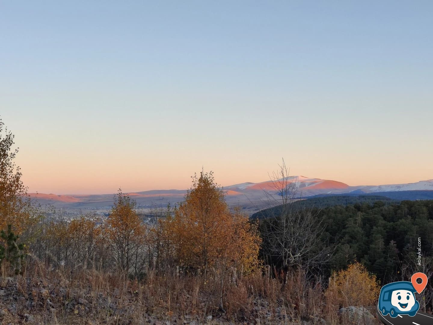 Orman İçi Vahşi Kamp Alanı - Göle, Ardahan, foto 1