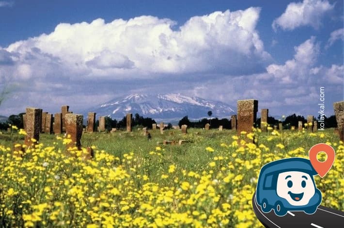 Ahlat Selçuklu Mezarlığı - Bitlis, foto 1