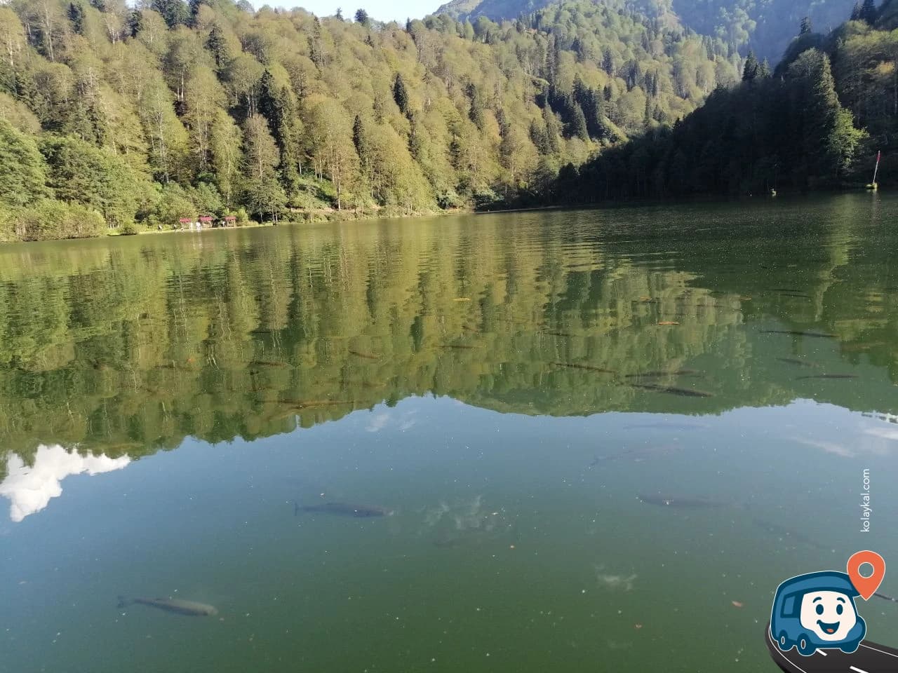 Borçka Karagöl - Artvin, foto 3