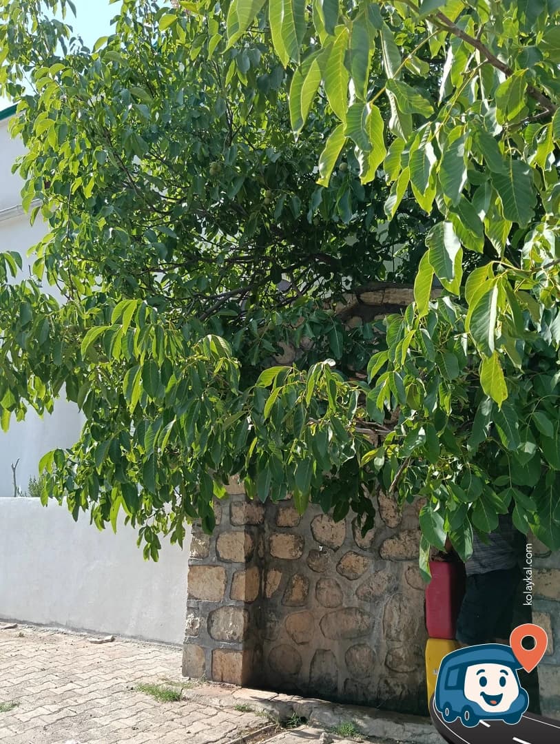 Cami Dışındaki Su Kaynağı - Kâhta, Adıyaman, foto 1