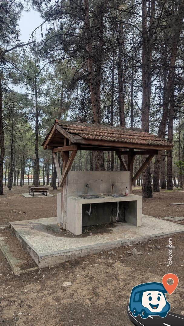 Burdur Gölü Ormanı - Burdur Merkez, foto 1