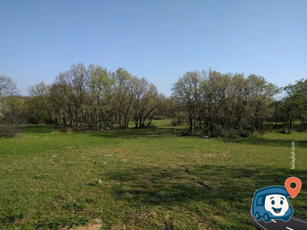 Orman İçinde Vahşi Kamp Alanı - Keşan, Edirne, foto 3