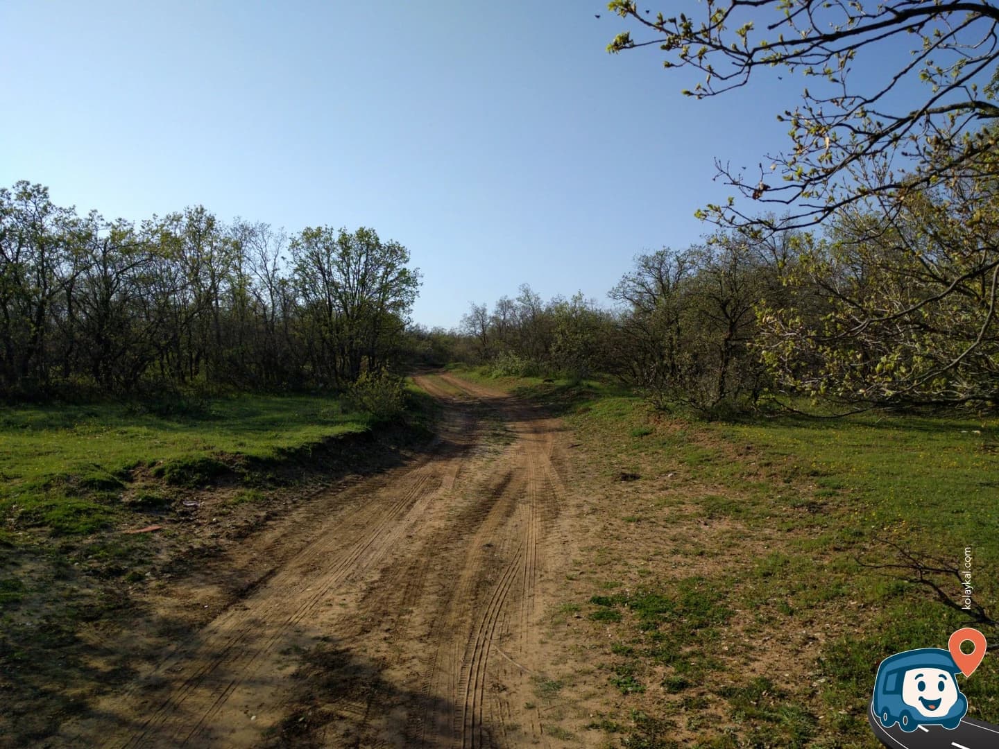 Orman İçinde Vahşi Kamp Alanı - Keşan, Edirne, foto 2