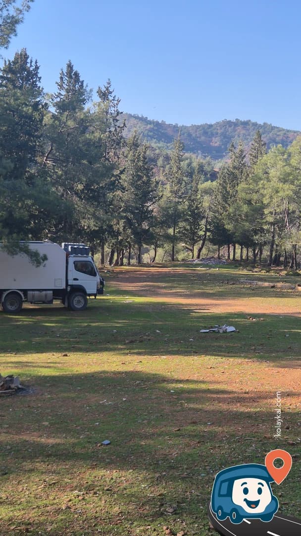 Pine Tree Park - Fethiye, Muğla, foto 1