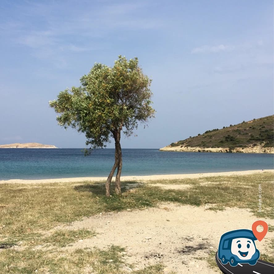 Kosovo Plajı Kamp Alanı - Foça, İzmir, foto 6