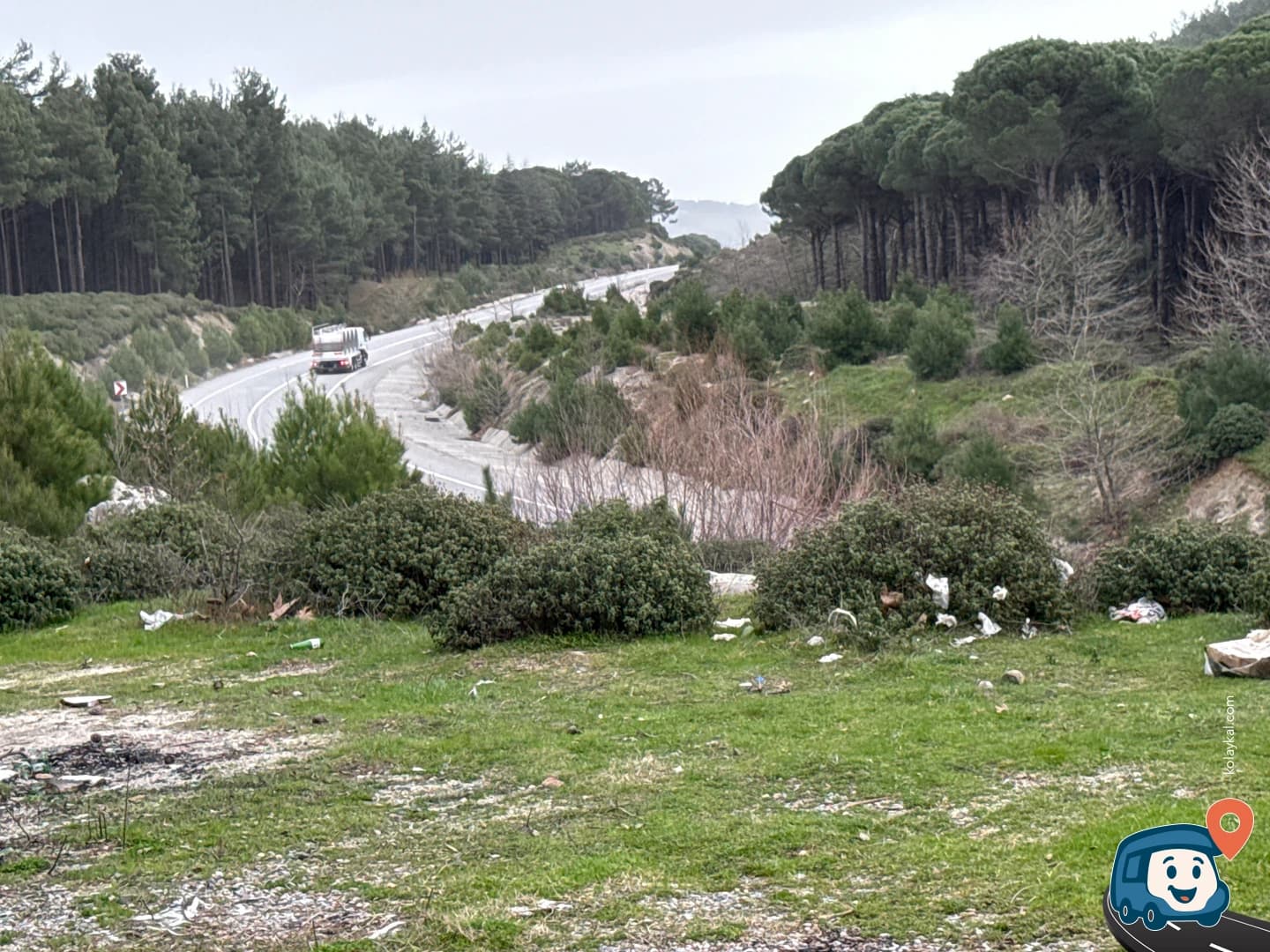 Ana Yola Yakın Orman İçi Vahşi Kamp - Havran, Balıkesir, foto 1