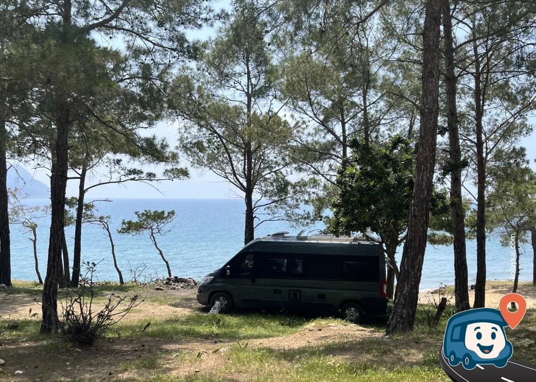 Deniz Kenarında Ağaçların Altı - Silifke, Mersin, foto 4