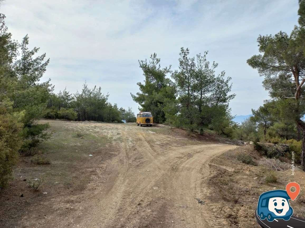 Pamukkale Wood - Denizli, foto 5