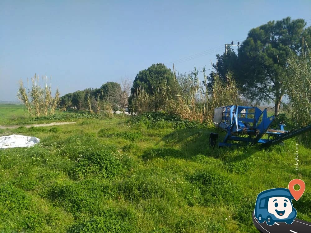 Yol Kenarı Kamp Noktası - Koçarlı, Aydın, foto 2